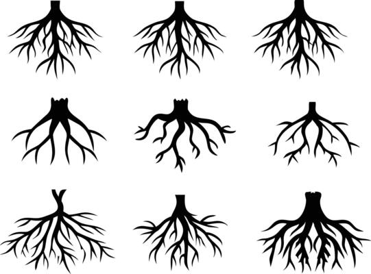 Nine Distinct Black Root Silhouette Illustrations Displayed on a Clean White Background