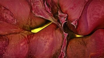 Ink Paint Diffusion Paradox Spread Illusion Shapes video