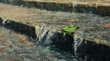 Green Leaves Falling from Waterfall Steps video