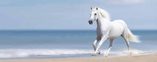 Majestic white horse galloping gracefully along the sandy beach shoreline, with waves gently crashing in the background, capturing the essence of freedom and beauty in nature photo