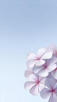 Beautiful pink and white flowers with delicate petals are arranged artistically against a soft blue background, creating a serene and tranquil atmosphere for relaxation and inspiration photo