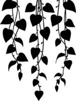 Trailing Vine Silhouette with Heart-Shaped Leaves vector