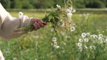 A man is holding a bunch of flowers in a field video