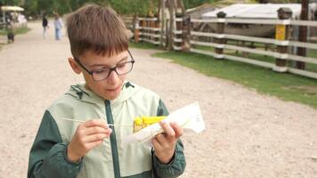Young boy wearing glasses enjoying a delicious corn on the cob while visiting a farm or zoo, relishing the sweet flavors of summer and embracing the joy of outdoor experiences video