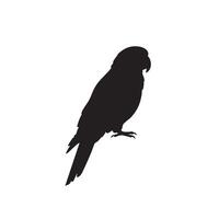 Black silhouette of a perched parrot with detailed feathers isolated on white background silhouette vector