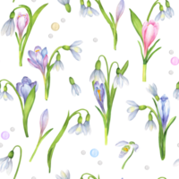 Seamless pattern with watercolor crocuses and snowdrops and pearls. Springtime design with wildflowers. Colorful floral hand-drawn illustrations for wallpapers, textile, clothing, wrapping paper png