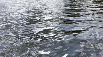 Scenery surface of pond illuminatd by sun at summertime. Calm view on sea with small waves at sunny day. Beautiful summer nature landscape. Concept of tranquility scene. Slow motion video