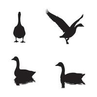Four goose poses silhouette isolated on white background silhouette vector