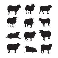 Collection of sheep silhouettes standing and resting isolated on white background silhouette vector