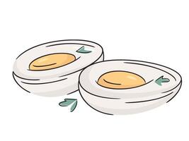 Boiled eggs cut in half with herbs. Fresh chicken egg. healthy eating or farm freshness concept, protein breakfast. Bright and clean design, minimal illustration. vector
