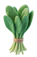 Fresh green spinach bundle tied with string, vibrant healthy vegetable choice png
