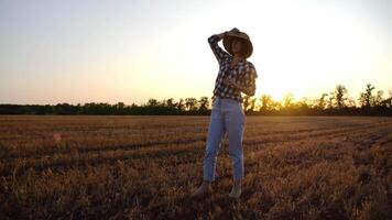 Adult agronomis in straw hat exploring barley on meadow at sunset. Female farmer examining ripe wheat at field on dusk. Beautiful scenic landscape. Concept of agriculture and agronomy business video