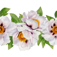 White tree peony flowers forming a seamless floral border. Drawing made in watercolor style. Perfect for textile design, wedding decor, packaging, invitations, and spring-themed projects. png