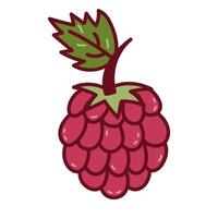 Lovely doodle garden and forest raspberry with stem and leaves. Childish colorful berry isolated on white background. Summertime heathy fruit for poster design, branding packaging, cafe menu vector