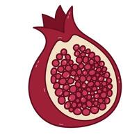 Lovely doodle pomegranate cut in half with juicy yummy seeds with outline. Hand drawn autumnal healthy fruit with grains isolated on white background. Trendy food for poster design, media, branding. vector