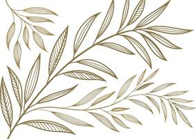 Delicate Hand Drawn Botanical Illustration of Olive Tree Branches with Subtle Leaf Patterns on a White Background vector