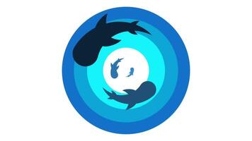 Fish swim in a circular rotation on a dark blue field, symbolizing balance, flow, and continual movement in natural and digital realms video
