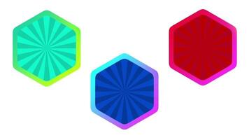Three stylized hexagonal icons in different colors symbolize diversity, variety, and categorical organization in a clean and modern design video