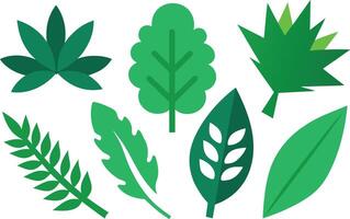 Collection of Various Green Leaf Shapes Illustration Flat Design Style Organic Botanical Elements vector