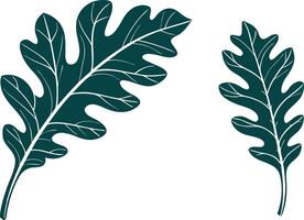 Two stylized dark green oak leaves on a white background representing nature and autumn season vector