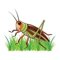 Cartoon grasshopper illustration featuring vibrant colors in a natural habitat setting vector
