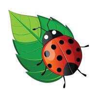 Cartoon ladybug on a leaf with style and vibrant colors. vector
