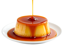 flan dessert topped with rich caramel stream and syrup drip on white plate on isolated background sweet custard pudding png