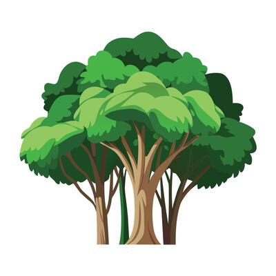 Stylized cartoon illustration of a large leafy tree with multiple trunks and white background