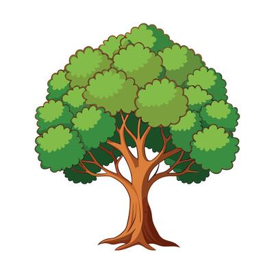 Cartoon-style tree with a thick trunk and a lush green foliage crown