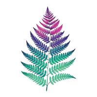 Isolated fern frond with colorful gradient on white background, graphic botanical illustration vector