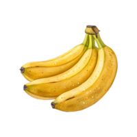 A bunch of yellow ripe banana isolated on transparent background png