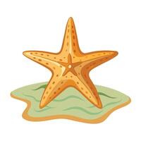 Stylized starfish resting on a small patch of sand near the ocean vector