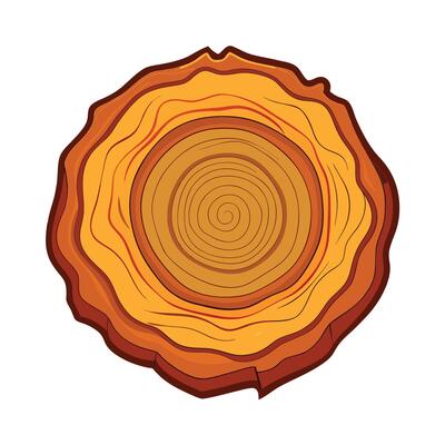 Cross-section of a tree trunk showing growth rings isolated on white background