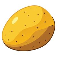 A yellow potato on a white background vector