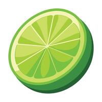 A lime slice is shown on a white background vector