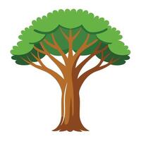 illustration of a tree vector