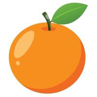 An orange is shown on a white background vector