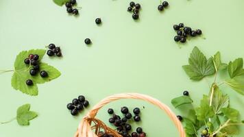 Blackcurrants and leaves on green surface video