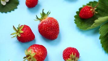 Fresh strawberries on blue background video
