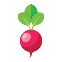 A red radish with green leaves on it vector