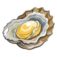 Oyster in shell illustration vector