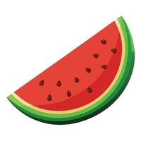A slice of watermelon on a white background vector
