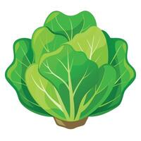 A green leafy vegetable icon on a white background vector
