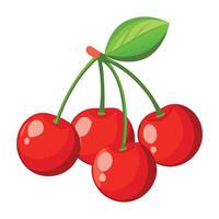 Cherries on a branch with leaves vector