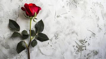 A beautiful single red rose with a vibrant green leaf rests on an old rustic wooden background, symbolizing love and nature photo