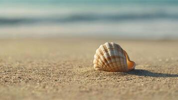 A lone seashell rests on the sun-kissed sand of a tropical beach, touched by ocean waves under a summer sky photo
