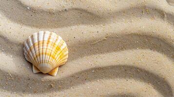 White seashell resting on the tropical beach sand with the ocean in the background, perfect for a summer vacation photo