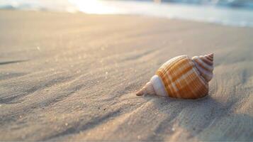 A pristine white seashell rests on the golden sand, inviting summer travel along the tropical ocean coast photo