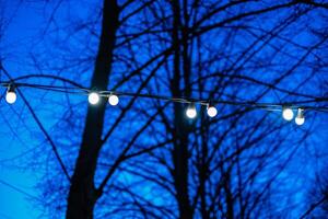A captivating evening scene featuring a string of illuminated outdoor globe lights set against a deep blue twilight sky and the dark silhouettes of bare tree branches photo