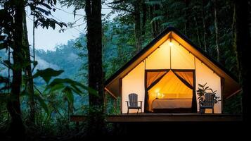 Glowing tent nestled among rainforest trees, soft lights radiating warmth during evening wilderness camping experience photo